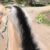 Profile picture of Sidetracksusie